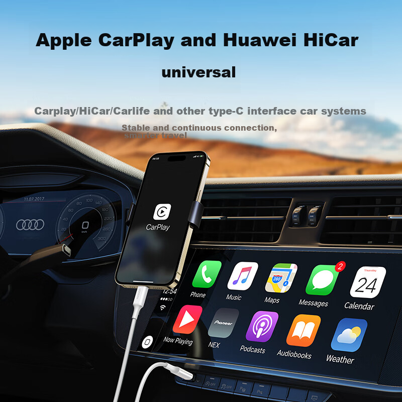 Lulian Type-C Data Cable, Double-Ended PD60W Fast Charging, C to C Car Charging...