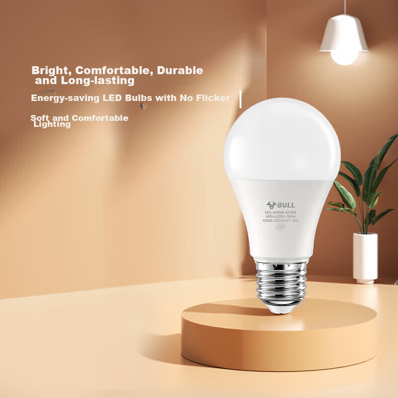 BULL LED Bulb, E27 Large Screw Base, Globe Bulb, High Brightness, 8W, Cool White (Daylight Color), 6500K