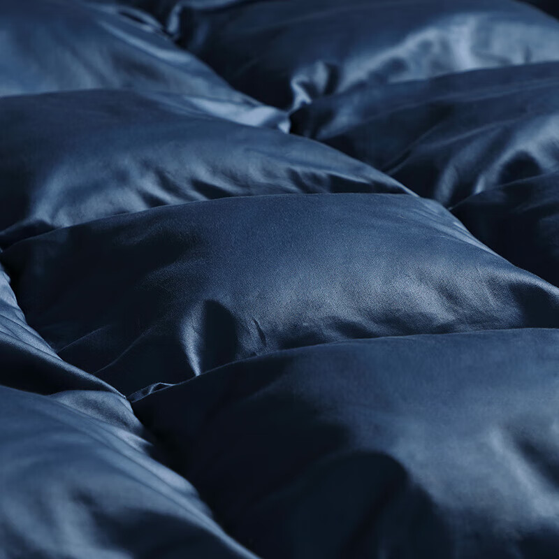 Fuanna 95% White Goose down Duvet, Ukrainian Import, 120 Count A-Grade Thickened Comforter, 1200g Filling, 230*229cm
