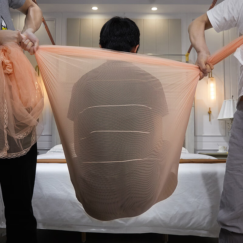 Pierre Cardin Home Bedroom Mosquito Net with Three-Door Rail 1.8x2m Jade Lace U-shaped Floor-standing Palace