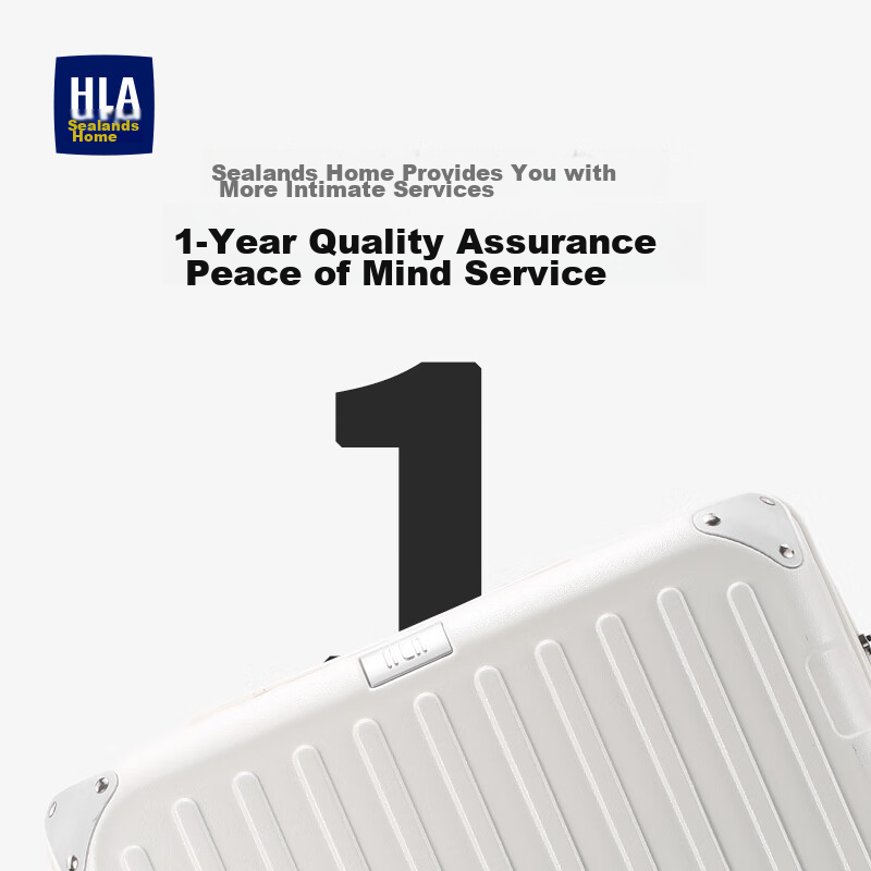 HLA Large Capacity Suitcase with Wheels, Password Lock, Business Travel Luggage...