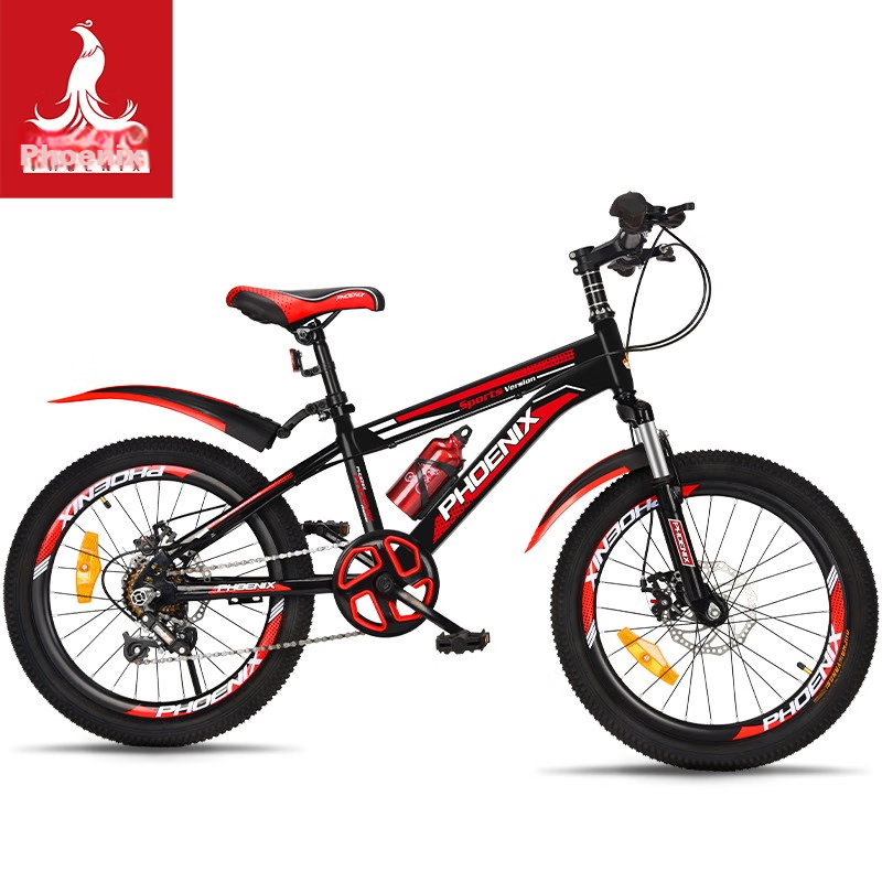Phoenix Children's Mountain Bike for Boys And Girls, Student Pedal Bike for Ages...