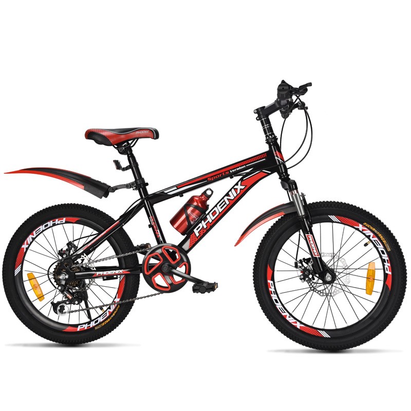 Phoenix Children's Mountain Bike for Boys And Girls, Student Pedal Bike for Ages...