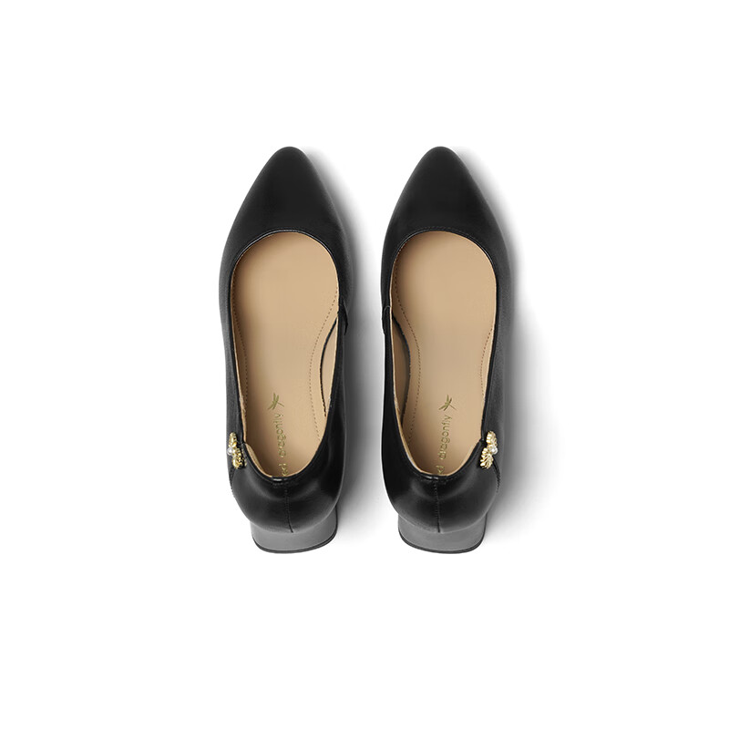 RED DRAGONFLY Low-Heeled Single Shoes 2025 Spring Women's Shoes Chunky Heel High...