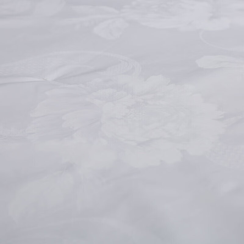 Fuanna Silk Comforter, 100% Double Mulberry Silk Duvet, Pure Cotton Spring And A...