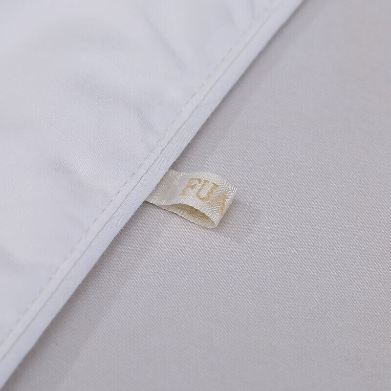 Fuanna Silk Comforter, 100% Double Mulberry Silk Duvet, Pure Cotton Spring And A...