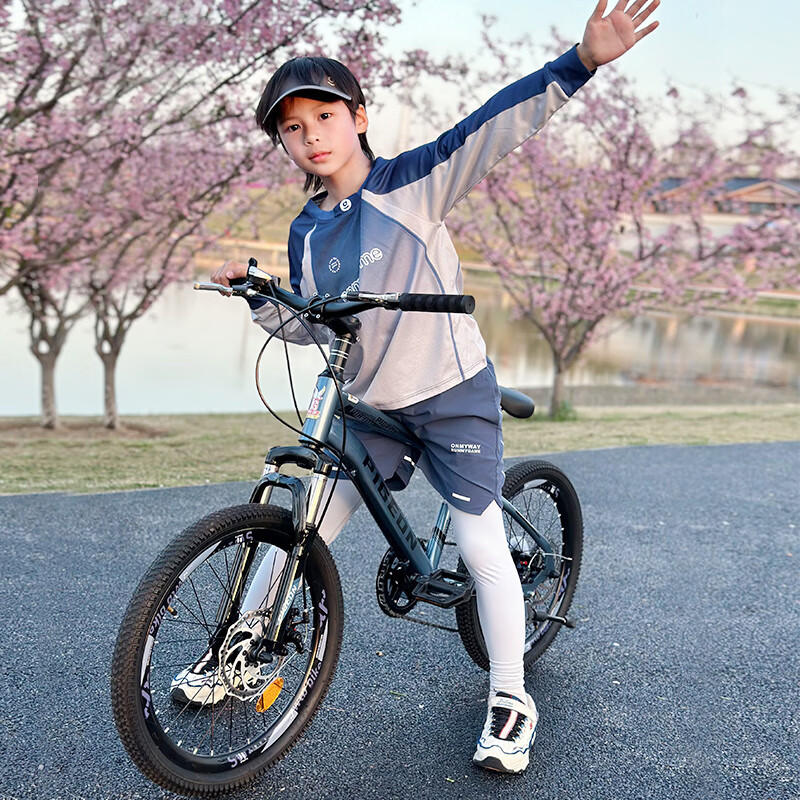 PIGEON Children's Bicycle, Student Mountain Bike, Youth Bicycle, Single-Speed Of...