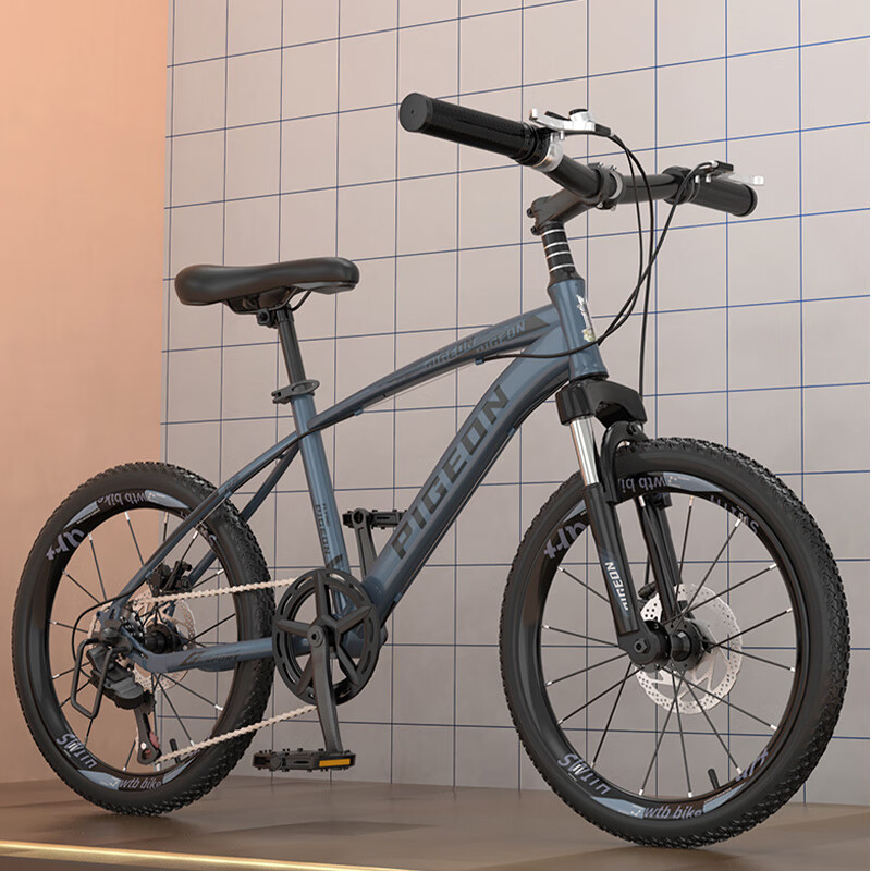 PIGEON Children's Bicycle, Student Mountain Bike, Youth Bicycle, Single-Speed Of...