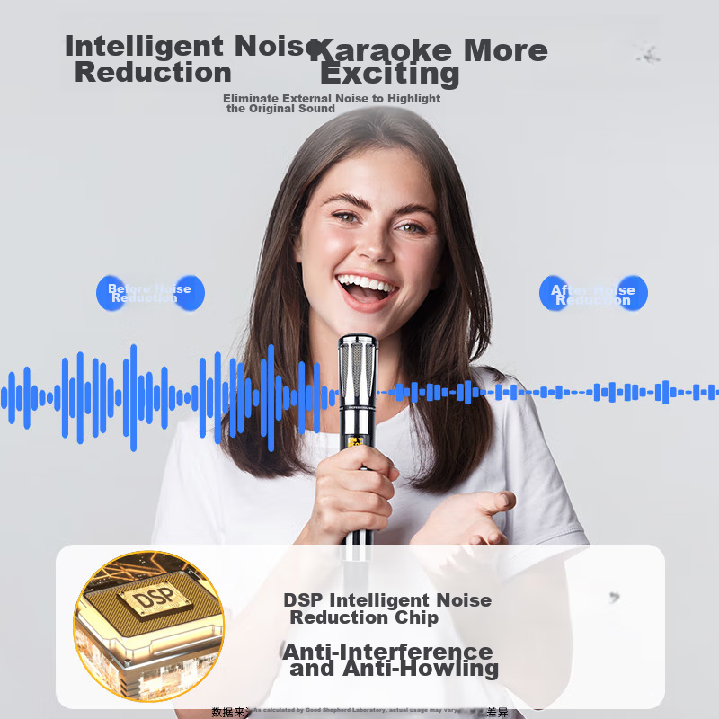 Good Shepherd Wireless Microphone, Home KTV Singing, Stage Hosting, Conference S...