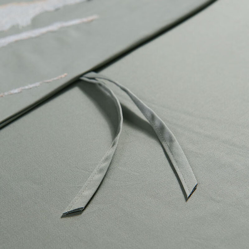 FUANNA Bedding Set A Class Pure Cotton 100s Long-staple Cotton Bed Sheet Quilt C...