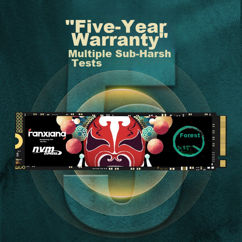 FANXIANG 128GB SSD Solid State Drive M.2 Interface (NVMe Protocol) Compatible wi...