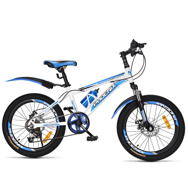 Phoenix Children's Mountain Bike for Boys And Girls, Student Pedal Bike for Ages...