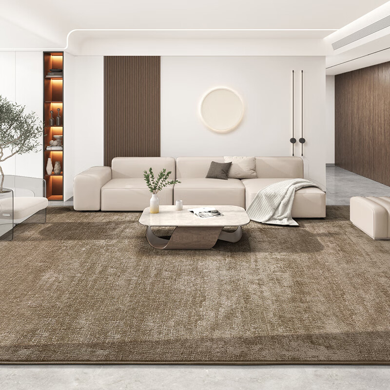 Dajiang Carpet Living Room Wash-Free Stain-Resistant Coffee Table Sofa Carpet La...