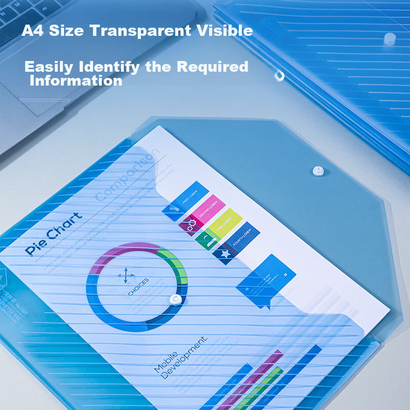 Deli 10 A4 Thick Transparent File Folders, Button Closure Document Exam Paper Ba...