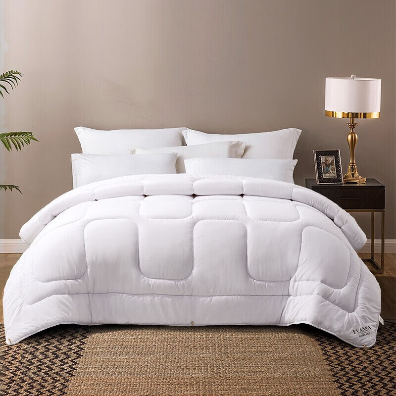 Fuanna, Warm Seven-Hole Antibacterial, Double Fiber Quilt for Winter, Thick Wint...