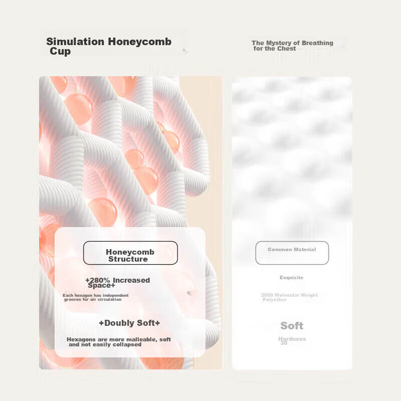 Dushiliren Women's Bra, Sexy Lace, Push-Up for Small Breasts, 2B25AB