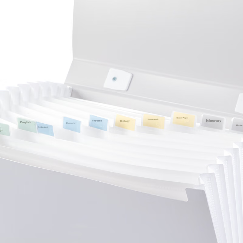 Deli Leshu Series 13-Compartment A4 Handheld File Folder, Accordion File, Multi-...