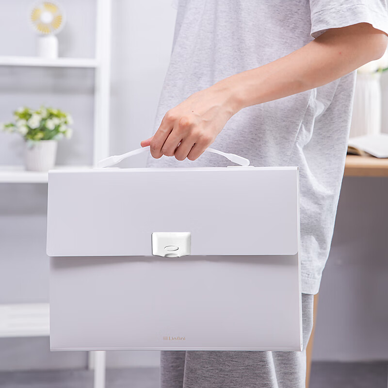 Deli Leshu Series 13-Compartment A4 Handheld File Folder, Accordion File, Multi-...