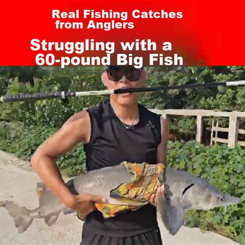 GW Guangwei Fishing Rod, Jian Shou Carp, Strong And Durable, 28 Sections, 5.7 Me...