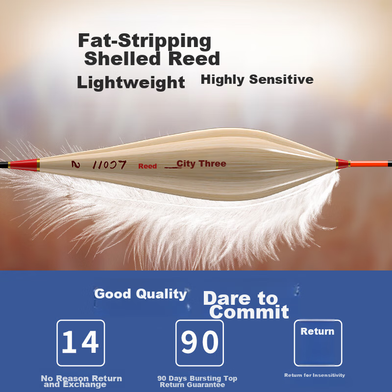 Chuanze High-End Reed Fish Float, Bold And Eye-Catching, for Crucian Carp And Ca...