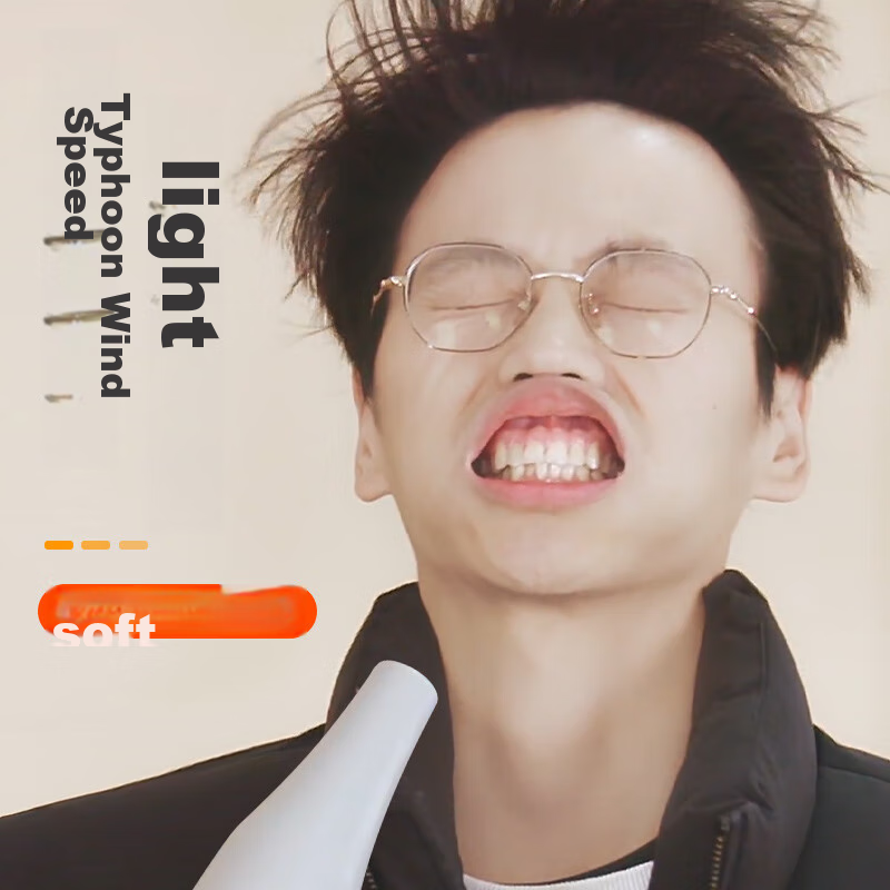 Hoopet Pet Blower, Dog Large Breed Electric Hair Dryer, Cat High-Power Drying Bo...