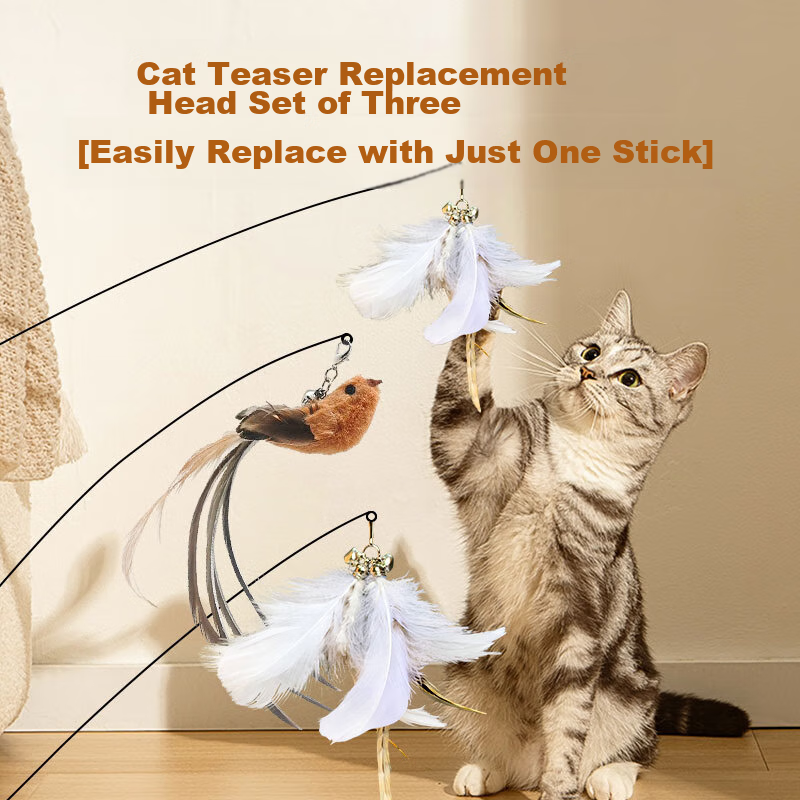 Petofstory Cat Toy Suction Cup Teaser Wand Handheld Teaser Wand with Three Repla...