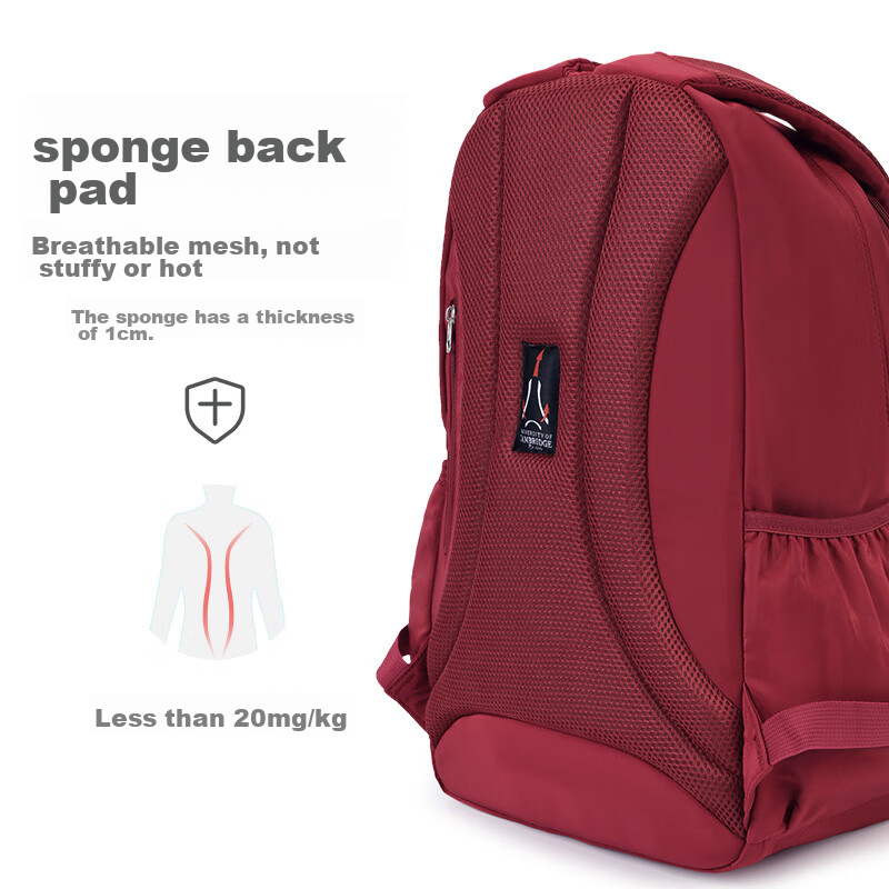 UNIVERSITY OF CAMBRIDGE Backpack for Female Students, Middle School And High Sch...