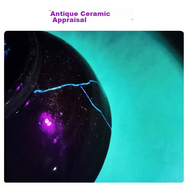 Warsun Ultraviolet Light Fluorescent Agent Detection Lamp, Wood's Light Flashlig...