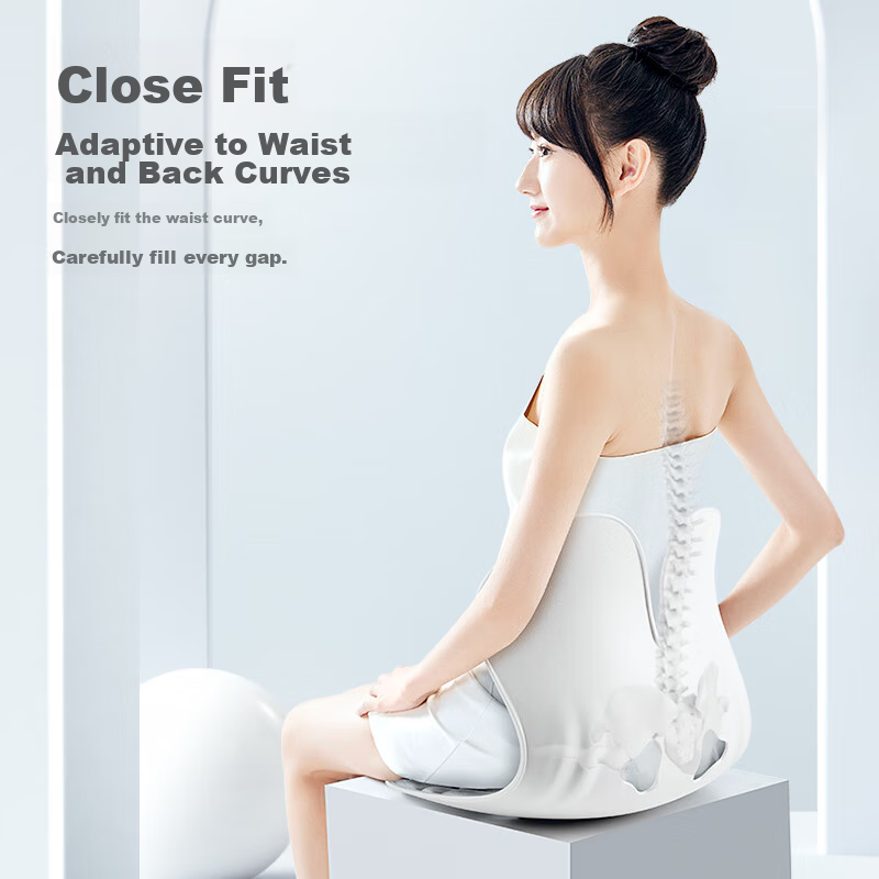 PPW Lumbar Support Cushion, Ergonomic Posture Chair, Office Long-Sitting, Studen...