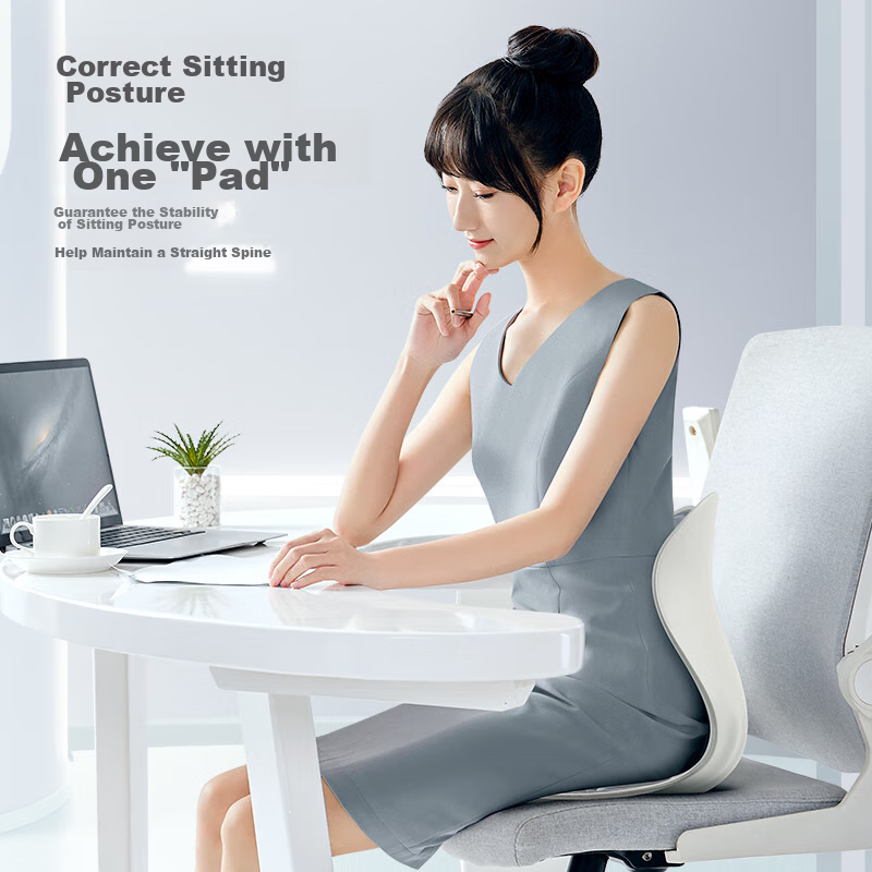 PPW Lumbar Support Cushion, Ergonomic Posture Chair, Office Long-Sitting, Studen...