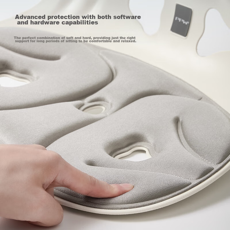 PPW Lumbar Support Cushion, Ergonomic Posture Chair, Office Long-Sitting, Studen...