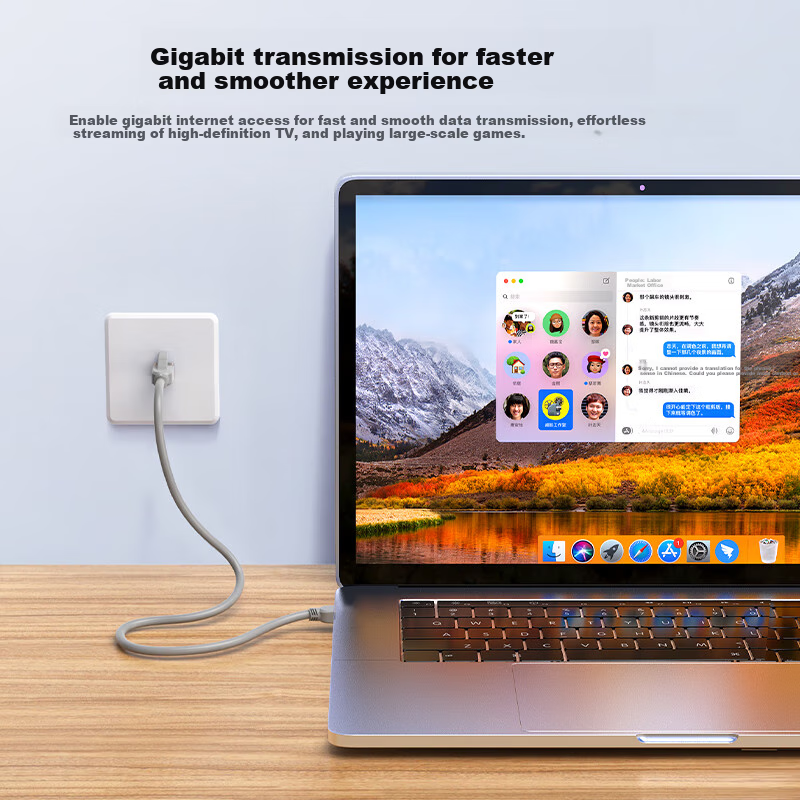 Biaze CAT6 Ethernet Cable, 10 Meters Gray, Gigabit High-Speed Broadband Cable, C...