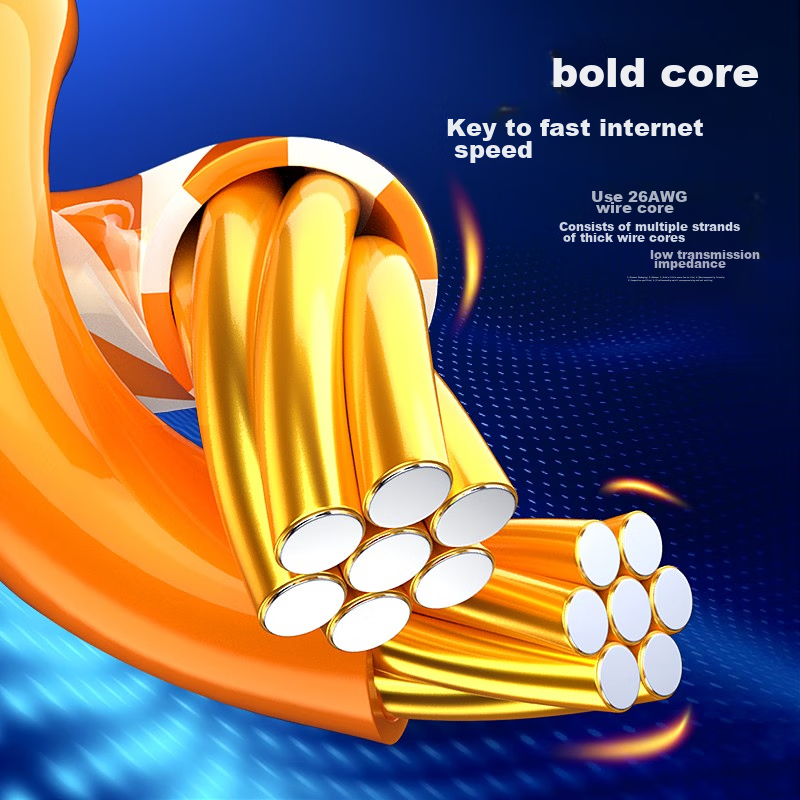 Biaze CAT6 Ethernet Cable, 10 Meters, Gigabit Network Connection Cable, Thickene...