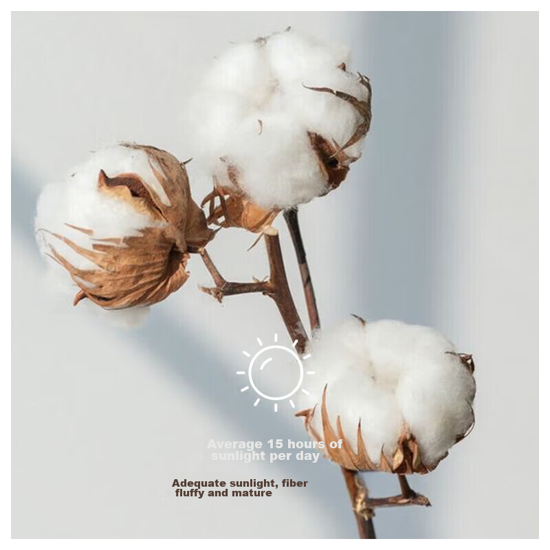 Chao Ge [Class A 3A Antibacterial] 100S Xinjiang Long-Staple Cotton Fitted Sheet...