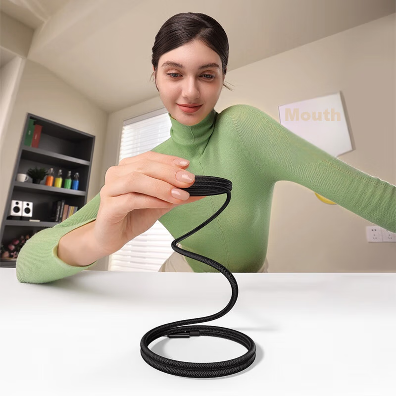 Baseus [Tungsten Gold] Series Magnetic Charging Cable, Apple Type-C Data Cable,...