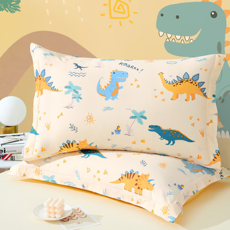 Beyond Kids Children's Class A Pillowcase Set of 2, All-Cotton Fabric, Student D...