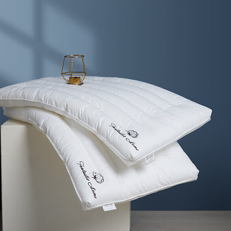 BEYOND Bedding Pillow Core, Washable, Anti-Mite, Single Soft Pillow Core, Medium...