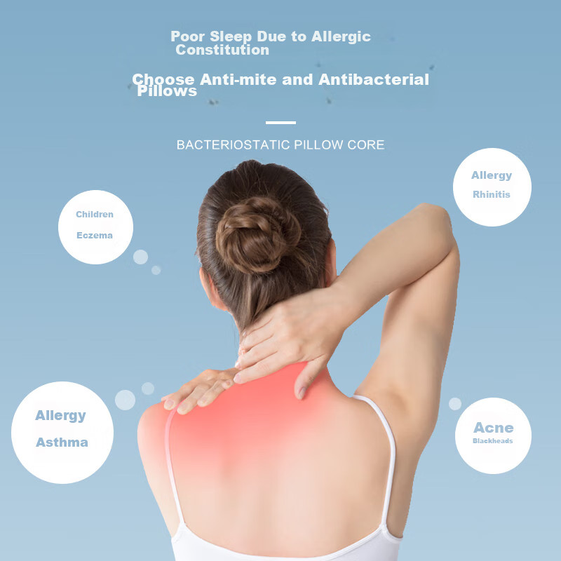 BEYOND Cotton Pillow, Washable, Single Pure Cotton Soft Pillow Core, Low Pillow,...