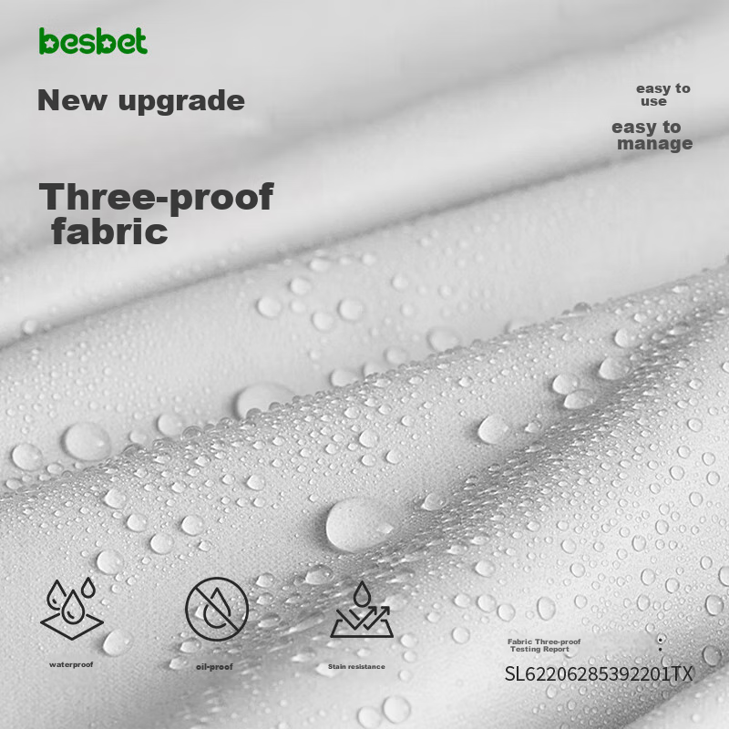 Besbet Child Safety Car Seat for Ages 3-12, I-Size Certified Growth Series, Knig...