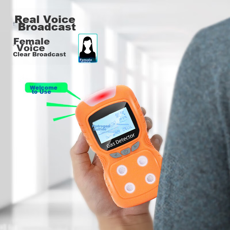 Beihai Four-In Gas Detector, Combustible Gas, Oxygen, CO, Hydrogen Sulfide, Conf...