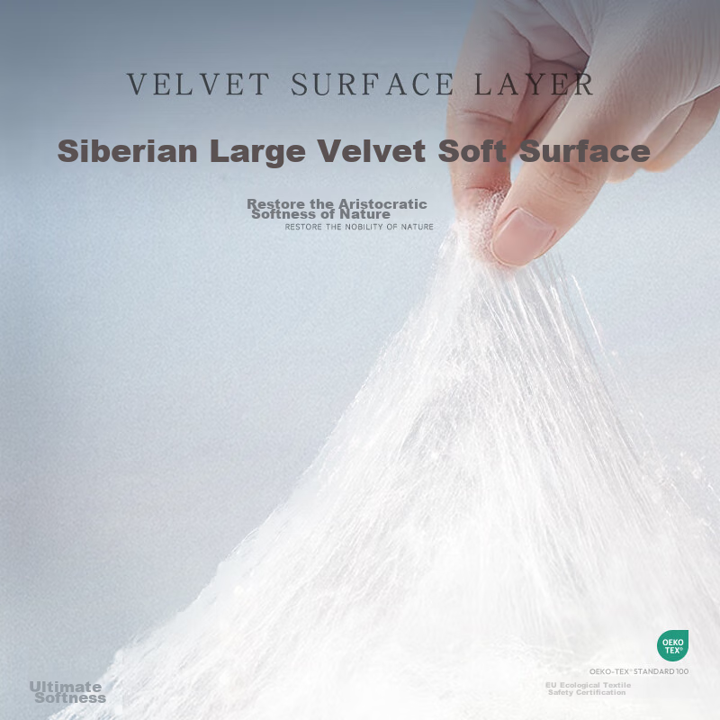 BBG Swan Series Baby Diapers, M Size, 60 Pieces (5-9kg), Diapers, Rare Swan Velv...