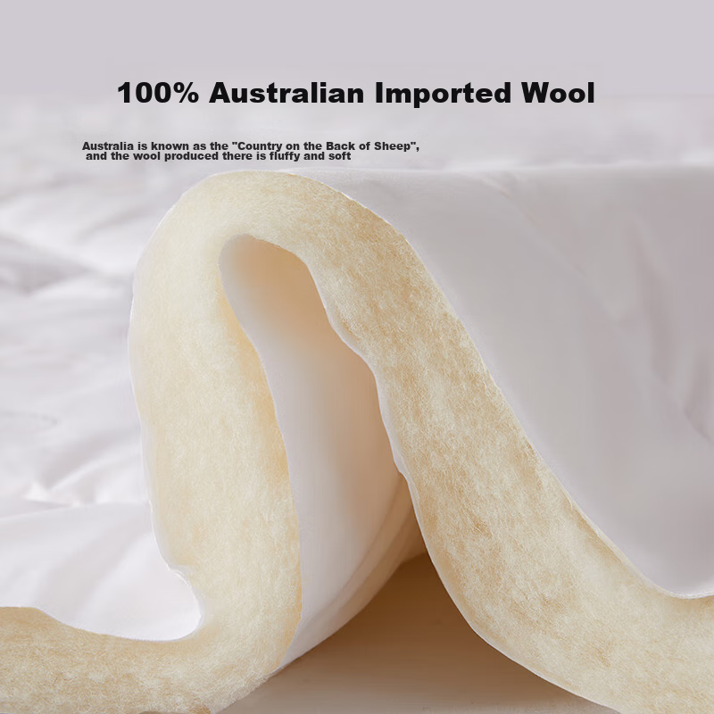 BEYOND Home Textile Mulberry Class A Antibacterial 100% Australian Imported Wool...