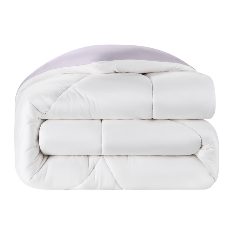 8HD11 Washable Antibacterial Warm Comforter, Class A Ten-Hole Fiber, Spring And...