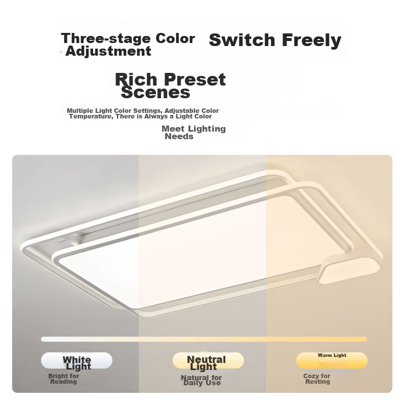 FSL Foshan Lighting Ceiling Light for Living Room, Nordic Modern Minimalist Styl...