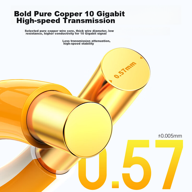 Akihabara (CHOSEAL) Original Unshielded CAT6A Ethernet Cable, 10 Gigabit High-Sp...