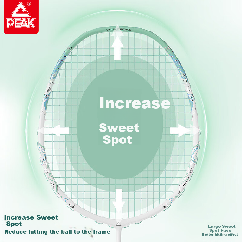 Peak Starry Sky Full Carbon Badminton Racket Training Beginner Essential Racket...