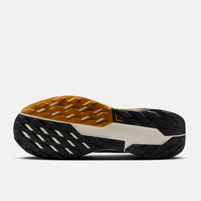 NIKE Men's Running Shoes PEGASUS TRAIL 5 GTX Sports Shoes FQ0908-007 Deep Black...