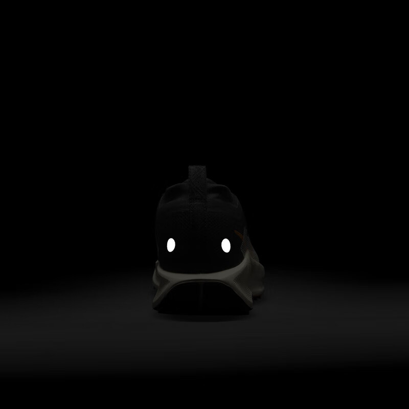 NIKE Men's Running Shoes PEGASUS TRAIL 5 GTX Sports Shoes FQ0908-007 Deep Black...