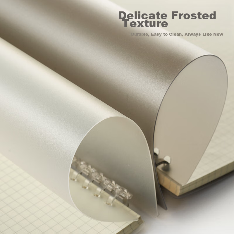 Class 2, Grade 3 B5 Lined Comfortable Loose-Leaf Notebook with Five Holes, PP So...