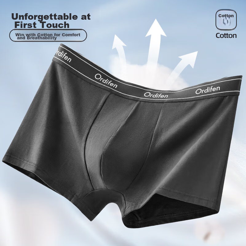 Ordifen [7A Antibacterial Mulberry Silk Crotch] Men's Underwear, Pure Cotton Sea...
